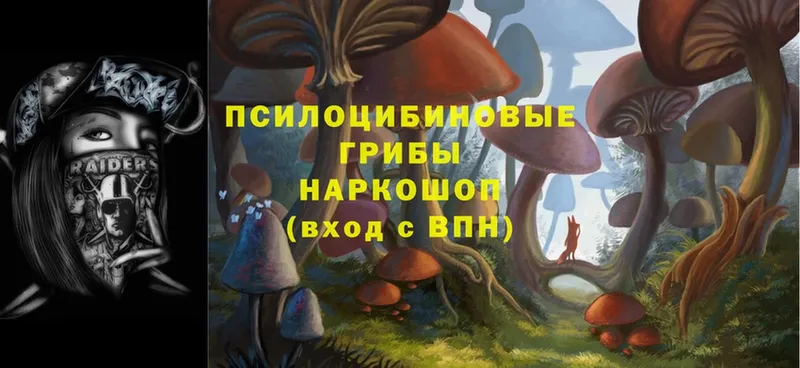 МЕГА tor  Карабулак  Галлюциногенные грибы MAGIC MUSHROOMS 